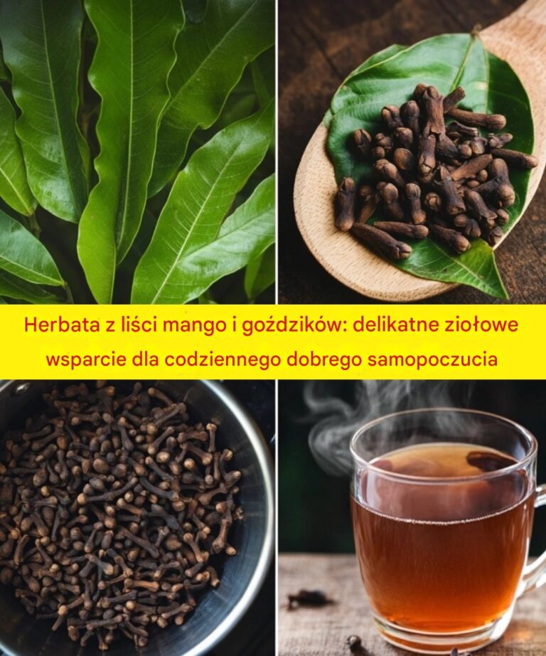 Herbata_z_li_ci_mango_i_go_dzik_w__delikatne_zio_owe_wsparcie_dla_codziennego_dobrego_samopoczucia