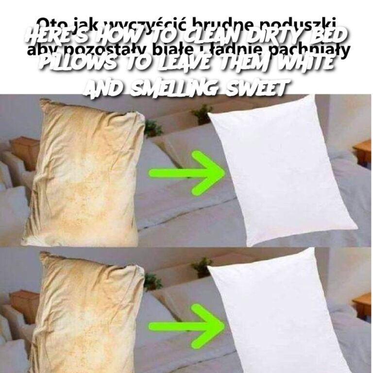 Here_s_how_to_clean_dirty_bed_pillows_to_leave_them_white_and_smelling_sweet-1