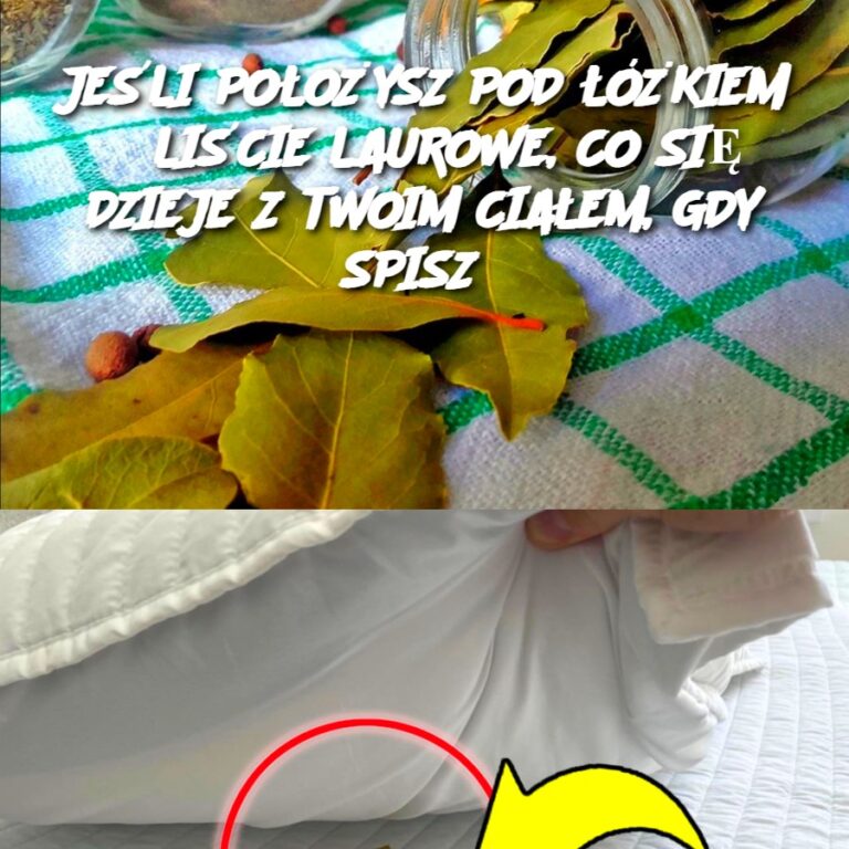 JE_LI_PO_O_YSZ_POD____KIEM_3_LI_CIE_LAUROWE__CO_SI__DZIEJE_Z_TWOIM_CIA_EM__GDY_SPISZ_