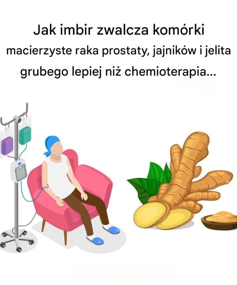 Jak_imbir_dzia_a_na_kom_rki_macierzyste_raka_prostaty__jajnik_w_i_jelita_grubego_lepiej_ni__chemioterapia