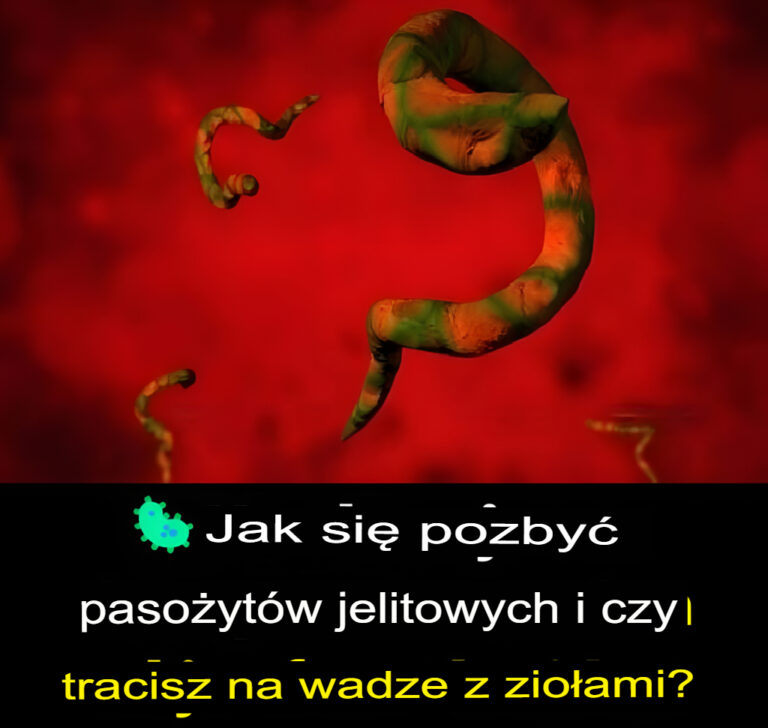 Jak_pozby__si__paso_yt_w_jelitowych_i_schudn___dzi_ki_zio_om_