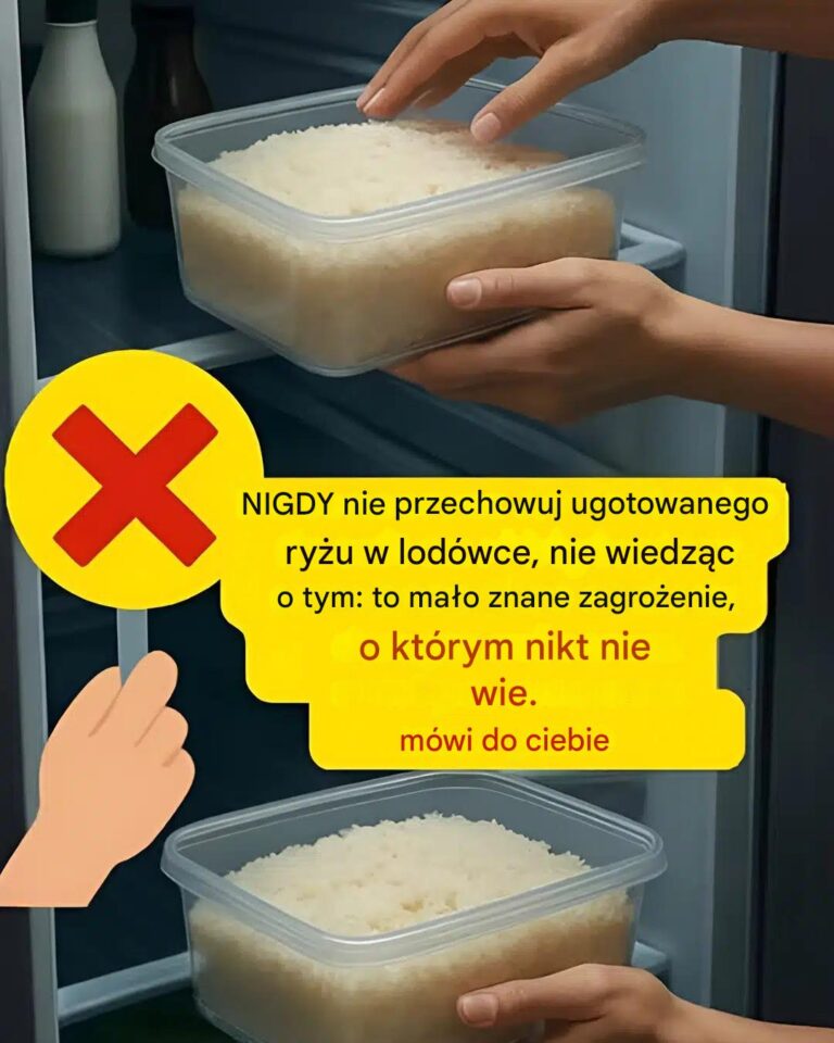Jak_prawid_owo_przechowywa__ry__