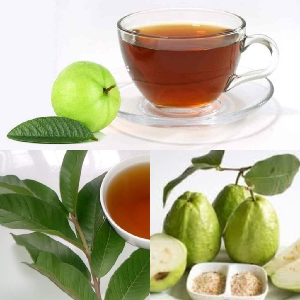 Jak_przygotowa__herbat__z_li_ci_guawy__prosty_przewodnik_po_naparze_wzmacniaj_cym_zdrowie Jak_przygotowa__herbat__z_li_ci_guawy__prosty_przewodnik_po_naparze_wzmacniaj_cym_zdrowie