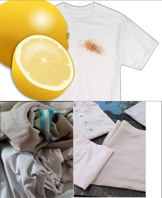 Jak_zapobiec____kni_ciu_bia_ych_prze_cierade__podczas_wieszania_ich_na_upale-1 Jak_zapobiec____kni_ciu_bia_ych_prze_cierade__podczas_wieszania_ich_na_upale-1