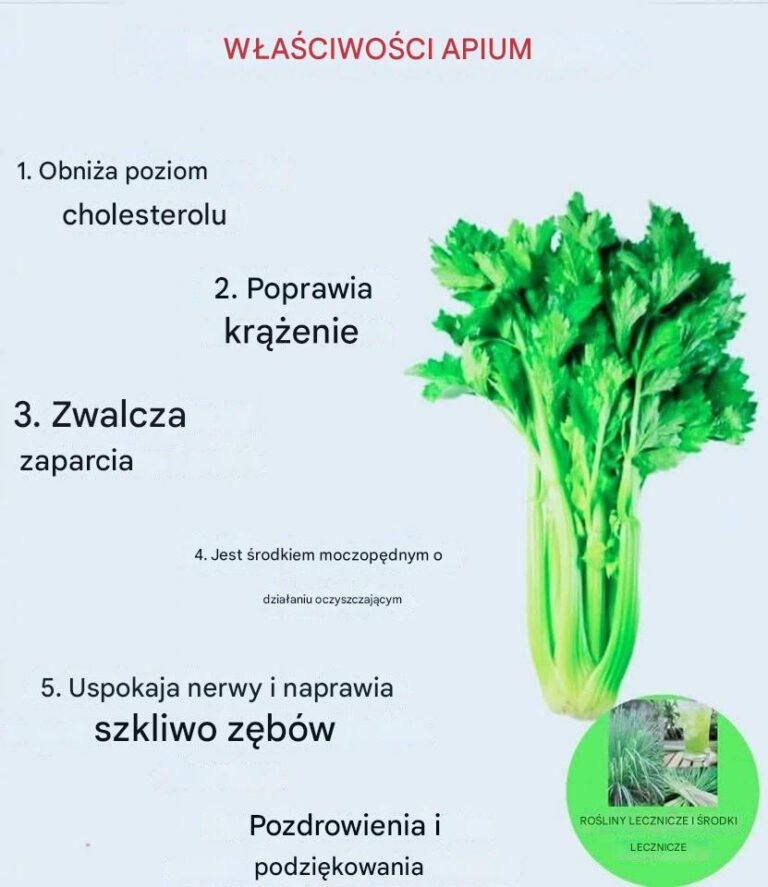 Je_li_jesz_seler_codziennie__mo_e_to_mie__wp_yw_na_Tw_j_organizm