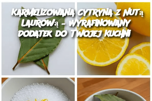 Karmelizowana_Cytryna_z_Nut__Laurow____Wyrafinowany_Dodatek_do_Twojej_Kuchni Karmelizowana_Cytryna_z_Nut__Laurow____Wyrafinowany_Dodatek_do_Twojej_Kuchni