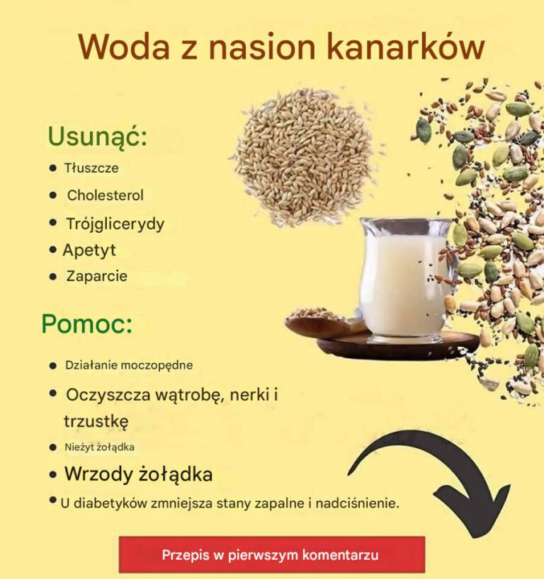 Korzy_ci_ze_spo_ywania_karmy_dla_ptak_w_