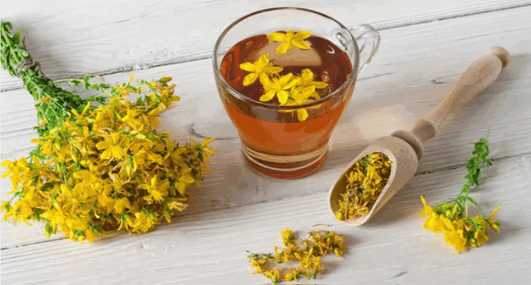 Korzy_ci_ze_stosowania_dziurawca__Hypericum_perforatum_