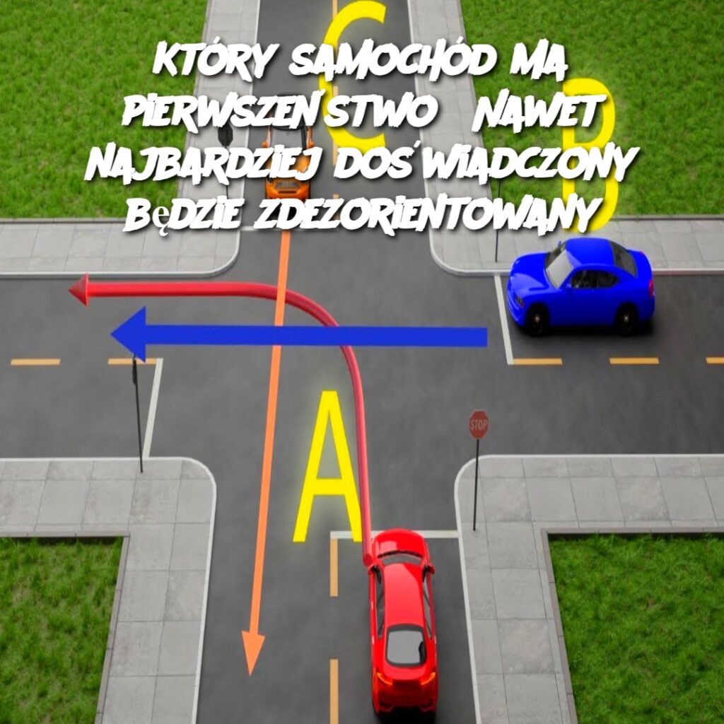 Kt_ry_samoch_d_ma_pierwsze_stwo__Nawet_najbardziej_do_wiadczony_b_dzie_zdezorientowany Kt_ry_samoch_d_ma_pierwsze_stwo__Nawet_najbardziej_do_wiadczony_b_dzie_zdezorientowany