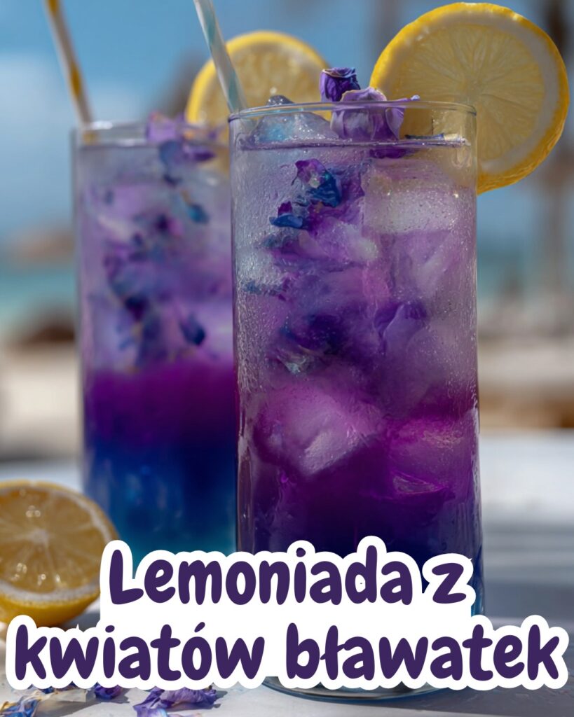 Lemoniada_z_kwiat_w_b_awatek Lemoniada_z_kwiat_w_b_awatek