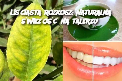 Li_ciasta_rozkosz__Naturalna__wie_o___na_talerzu Li_ciasta_rozkosz__Naturalna__wie_o___na_talerzu
