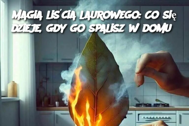 Magia_li_cia_laurowego__Co_si__dzieje__gdy_go_spalisz_w_domu_