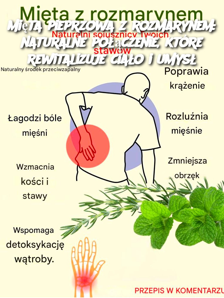 Mi_ta_pieprzowa_z_rozmarynem__naturalne_po__czenie__kt_re_rewitalizuje_cia_o_i_umys_ Mi_ta_pieprzowa_z_rozmarynem__naturalne_po__czenie__kt_re_rewitalizuje_cia_o_i_umys_
