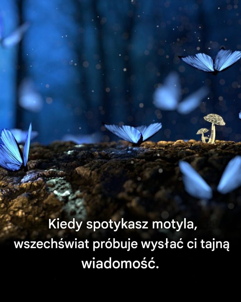 Motyle_s__pos_a_cami_duchowymi__Oto__co_mog__dla_Ciebie_oznacza_