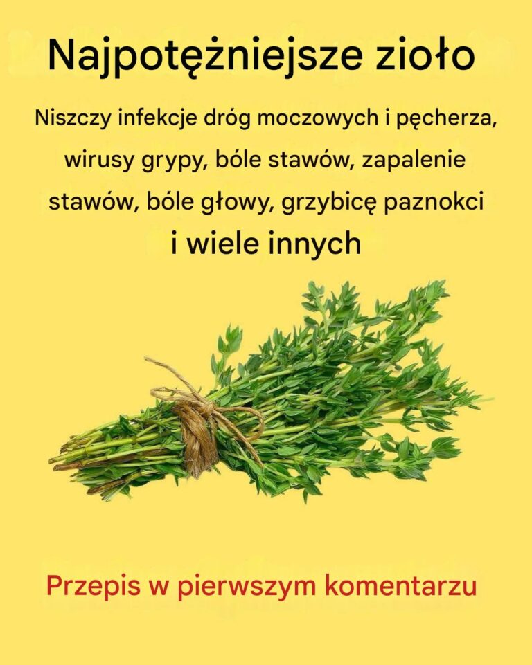 Najsilniejsze_zio_o__naturalny_skarb_dla_zdrowia