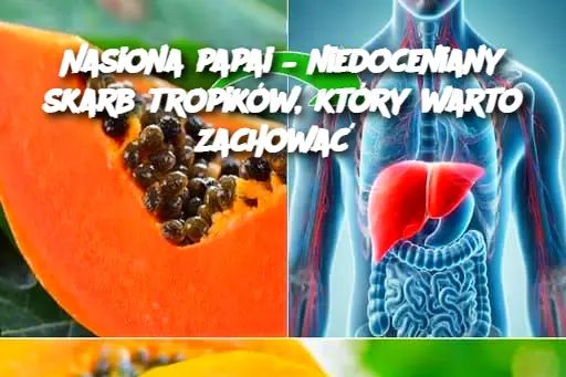 Nasiona_papai___niedoceniany_skarb_tropik_w__kt_ry_warto_zachowa_ Nasiona_papai___niedoceniany_skarb_tropik_w__kt_ry_warto_zachowa_