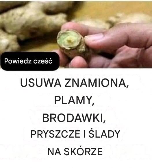 Naturalny__rodek_na_usuwanie_brodawek Naturalny__rodek_na_usuwanie_brodawek
