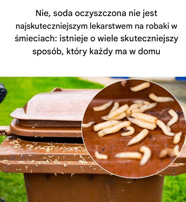 Nie__soda_oczyszczona_nie_jest_najskuteczniejszym_lekarstwem_na_robaki_w__mieciach__istnieje_o_wiele_skuteczniejszy_spos_b__kt_ry_ka_dy_ma_w_domu Nie__soda_oczyszczona_nie_jest_najskuteczniejszym_lekarstwem_na_robaki_w__mieciach__istnieje_o_wiele_skuteczniejszy_spos_b__kt_ry_ka_dy_ma_w_domu
