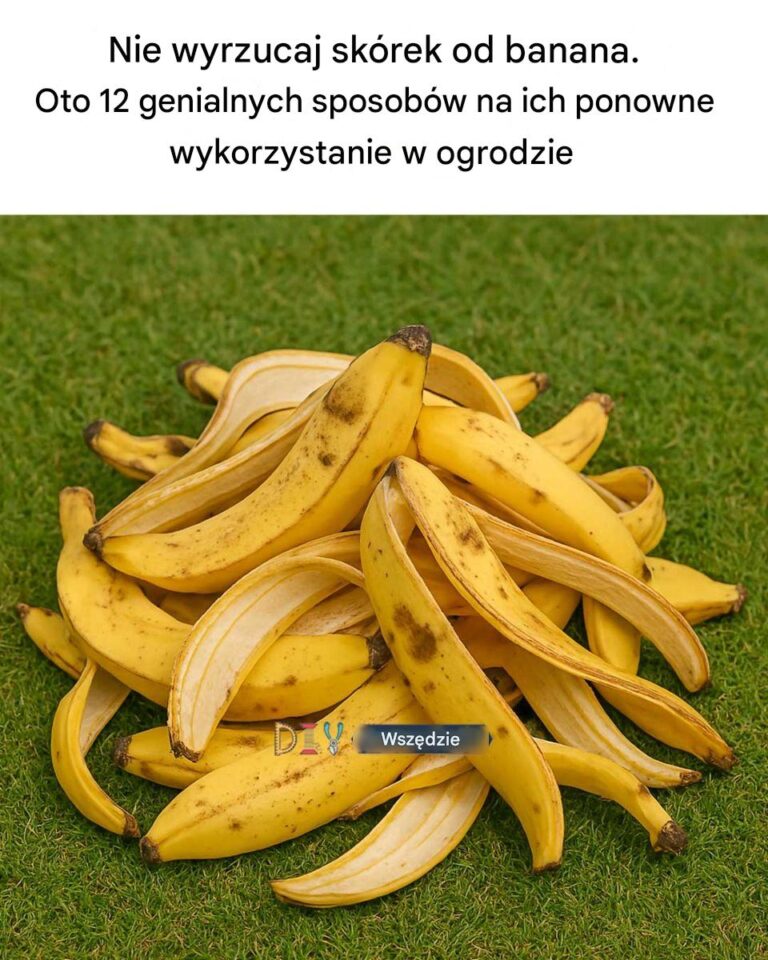 Nie_wyrzucaj_sk_rek_od_banan_w__Oto_12_genialnych_sposob_w_na_ich_ponowne_wykorzystanie_w_ogrodzie
