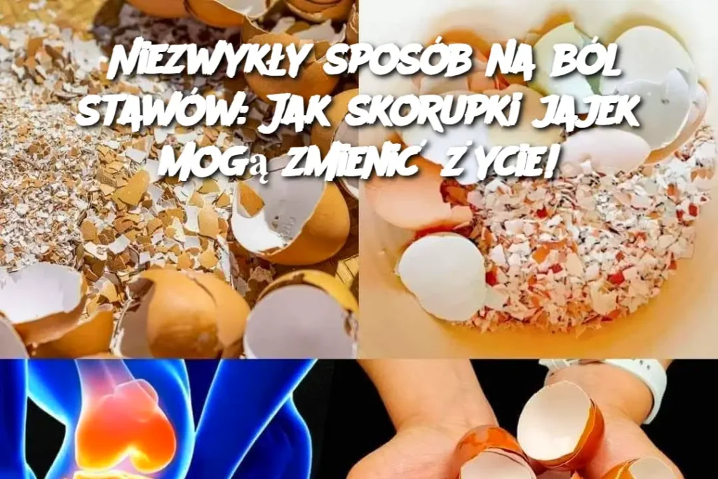 Niezwyk_y_spos_b_na_b_l_staw_w__Jak_skorupki_jajek_mog__zmieni___ycie_ Niezwyk_y_spos_b_na_b_l_staw_w__Jak_skorupki_jajek_mog__zmieni___ycie_