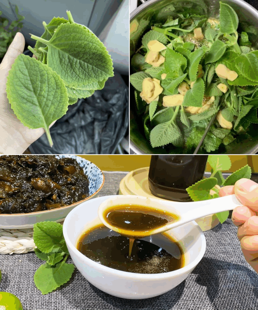 Odkryj_moc_oregano_Orej_n__naturalny__rodek_poprawiaj_cy_wzrok-1 Odkryj_moc_oregano_Orej_n__naturalny__rodek_poprawiaj_cy_wzrok-1