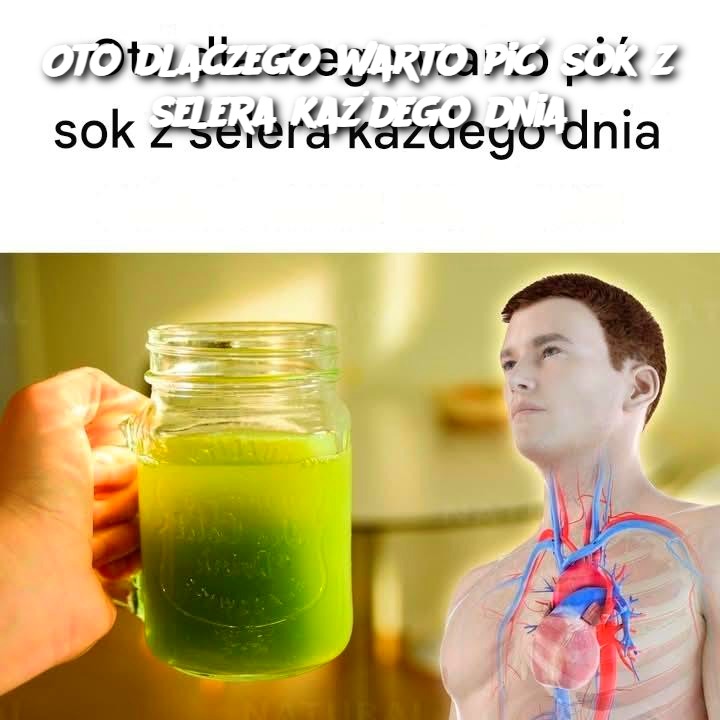 Oto_dlaczego_warto_pi__sok_z_selera_ka_dego_dnia Oto_dlaczego_warto_pi__sok_z_selera_ka_dego_dnia