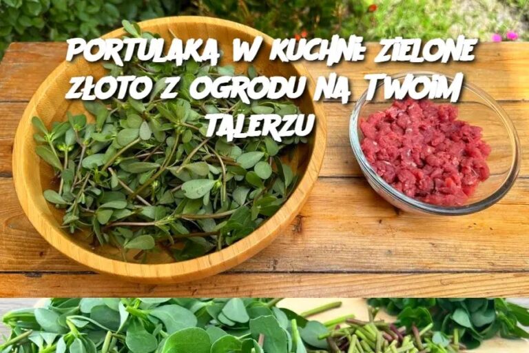 Portulaka_w_kuchni__Zielone_z_oto_z_ogrodu_na_Twoim_talerzu
