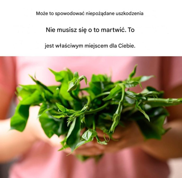 Ro_lina_ta_hamuje_zapotrzebowanie_na_cukier__wystarczy_j___u__przed_jedzeniem-1 Ro_lina_ta_hamuje_zapotrzebowanie_na_cukier__wystarczy_j___u__przed_jedzeniem-1