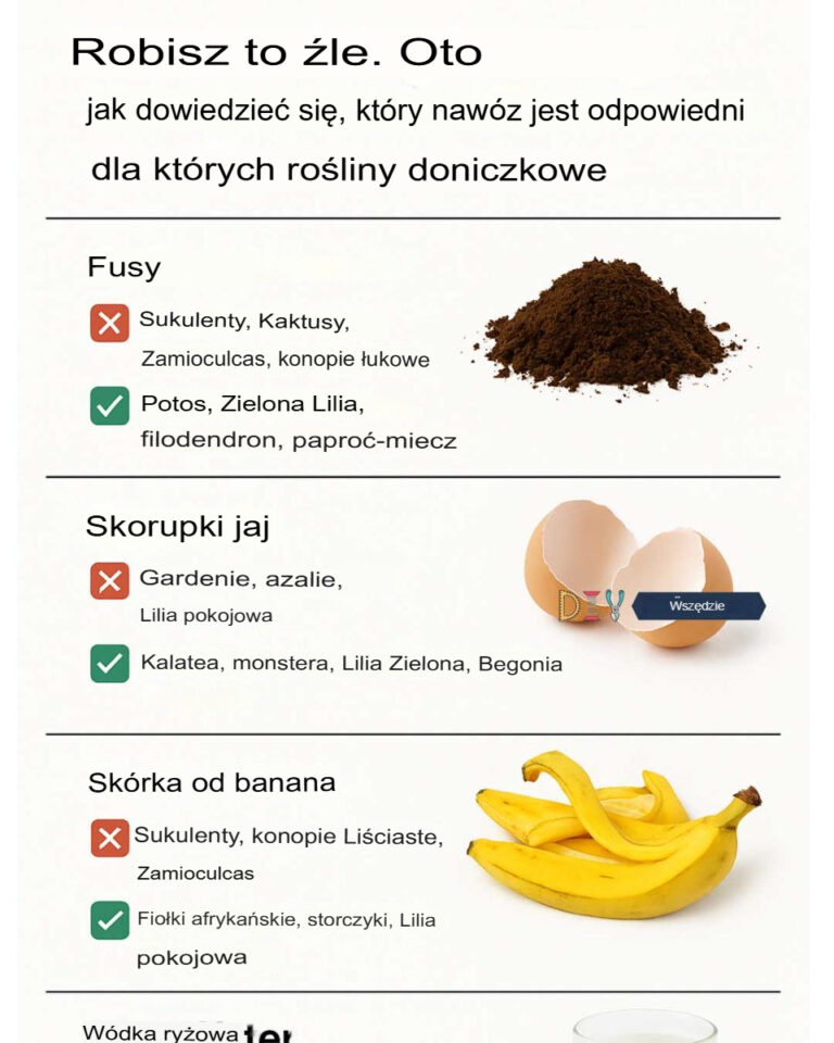Robisz_to__le__Tutaj_mo_esz_dowiedzie__si___jaki_naw_z_jest_odpowiedni_dla_poszczeg_lnych_ro_lin_domowych_-1