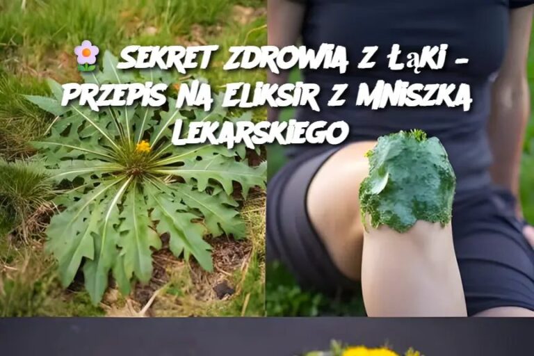 Sekret_Zdrowia_z___ki___Przepis_na_Eliksir_z_Mniszka_Lekarskiego