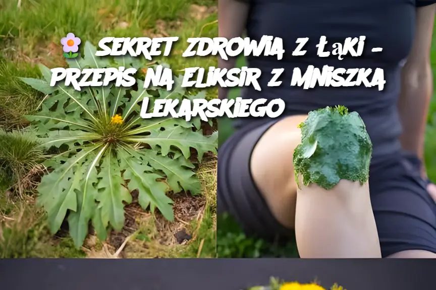 Sekret_Zdrowia_z___ki___Przepis_na_Eliksir_z_Mniszka_Lekarskiego Sekret_Zdrowia_z___ki___Przepis_na_Eliksir_z_Mniszka_Lekarskiego