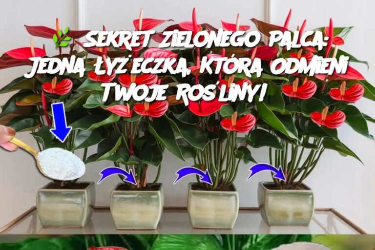 Sekret_Zielonego_Palca__Jedna__y_eczka__Kt_ra_Odmieni_Twoje_Ro_liny_