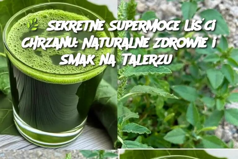 Sekretne_Supermoce_Li_ci_Chrzanu__Naturalne_Zdrowie_i_Smak_na_Talerzu