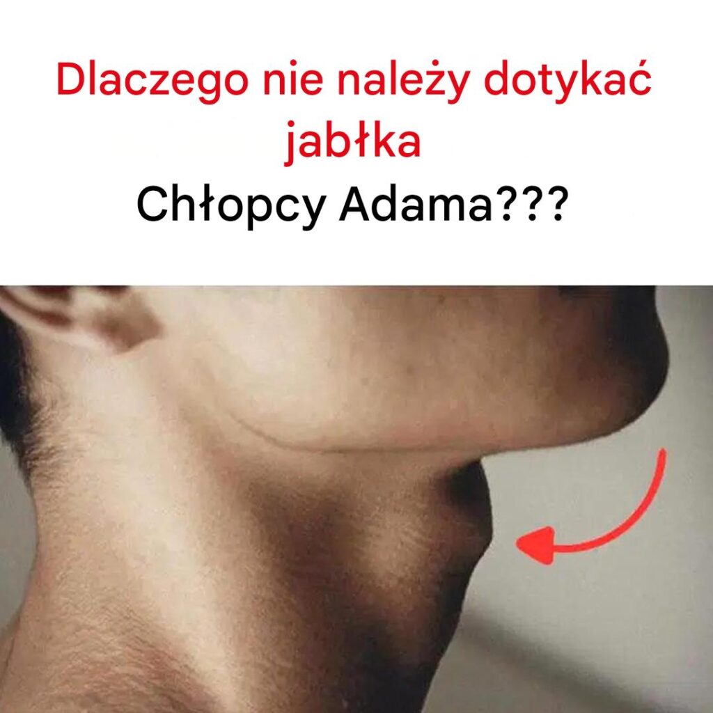 Tajemnice_wystaj_cej_szyjki_macicy_u_m__czyzn Tajemnice_wystaj_cej_szyjki_macicy_u_m__czyzn