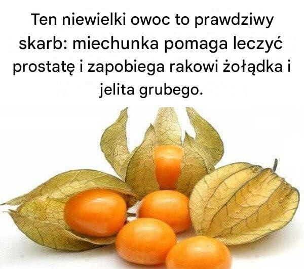 Ten_niewielki_owoc_to_prawdziwy_skarb__miechunka_pomaga_leczy__prostat__i_zapobiega_rakowi__o__dka_i_jelita_grubego_