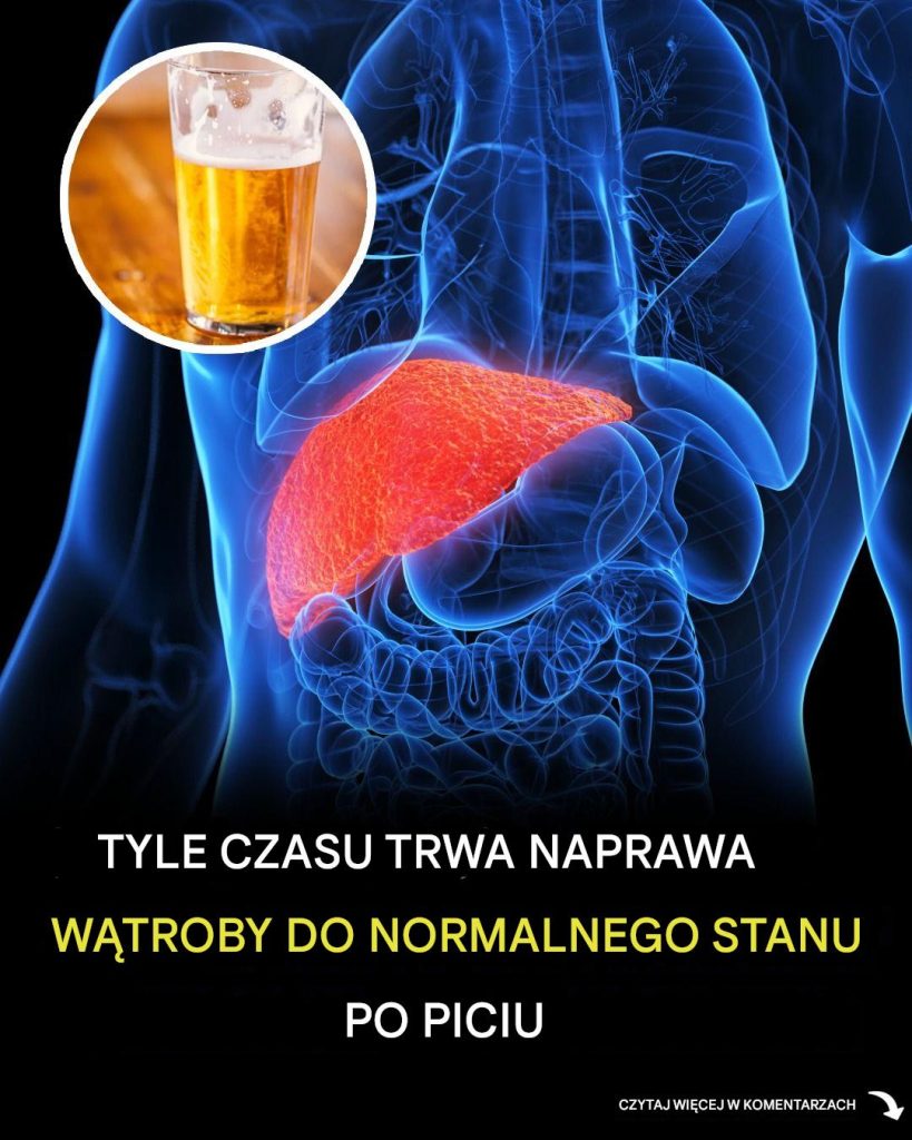 Tyle_czasu_zajmuje_Twojej_w_trobie_powr_t_do_normy_po_piciu Tyle_czasu_zajmuje_Twojej_w_trobie_powr_t_do_normy_po_piciu