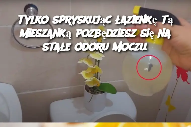 Tylko_spryskuj_c__azienk__t__mieszank__pozb_dziesz_si__na_sta_e_odoru_moczu_ Tylko_spryskuj_c__azienk__t__mieszank__pozb_dziesz_si__na_sta_e_odoru_moczu_