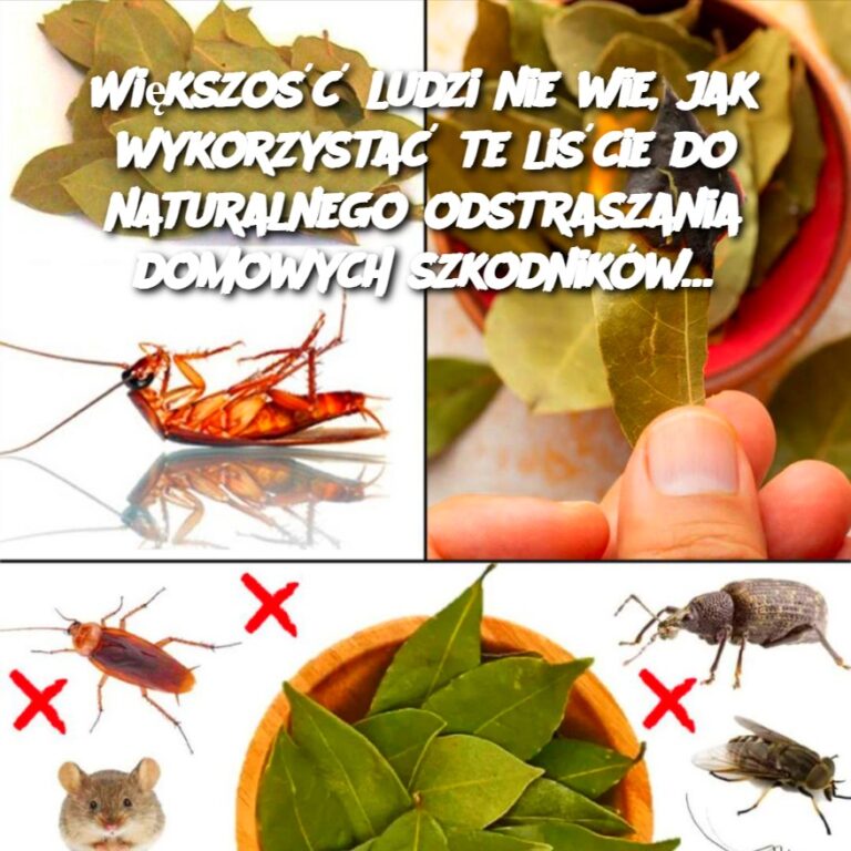 Wi_kszo___ludzi_nie_wie__jak_wykorzysta__te_li_cie_do_naturalnego_odstraszania_domowych_szkodnik_w_-1