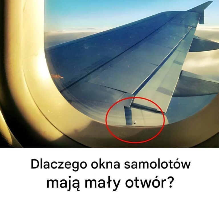 Wiele_razy_lata_e___ale_mo_esz_o_tym_nie_wiedzie__
