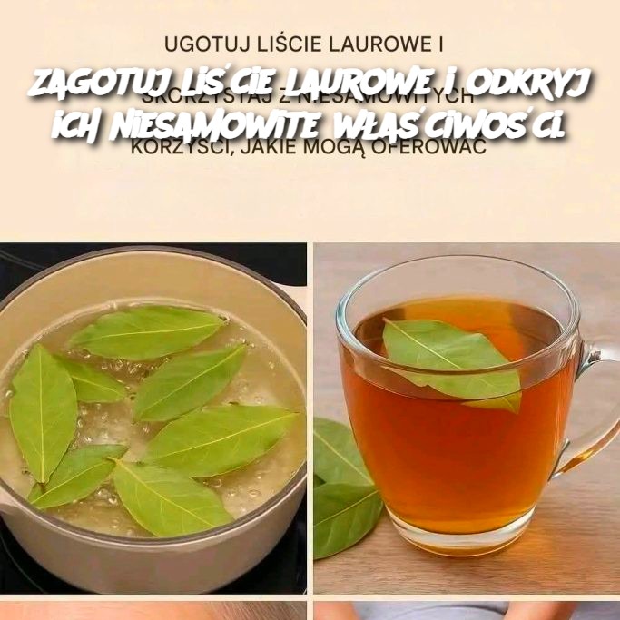 Zagotuj_li_cie_laurowe_i_odkryj_ich_niesamowite_w_a_ciwo_ci_ Zagotuj_li_cie_laurowe_i_odkryj_ich_niesamowite_w_a_ciwo_ci_