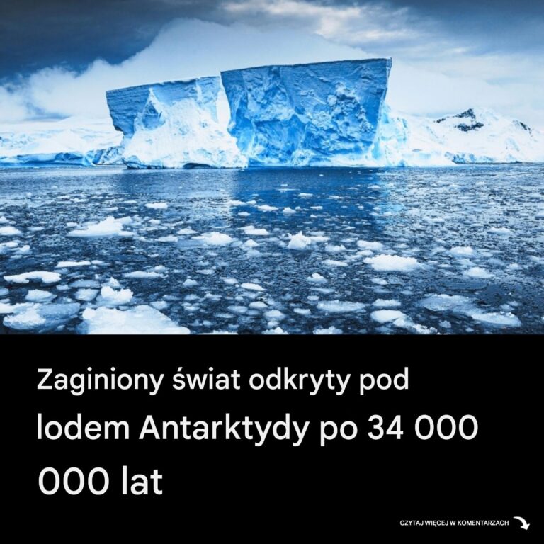 Zamro_ony_przez_34_miliony_lat__Zaginiony__wiat_znaleziony_pod_lodem_Antarktydy
