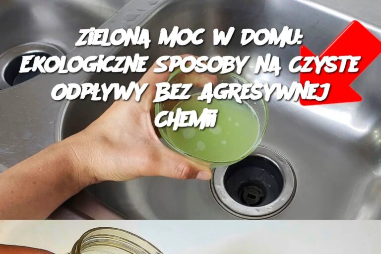 Zielona_Moc_w_Domu__Ekologiczne_Sposoby_na_Czyste_Odp_ywy_Bez_Agresywnej_Chemii