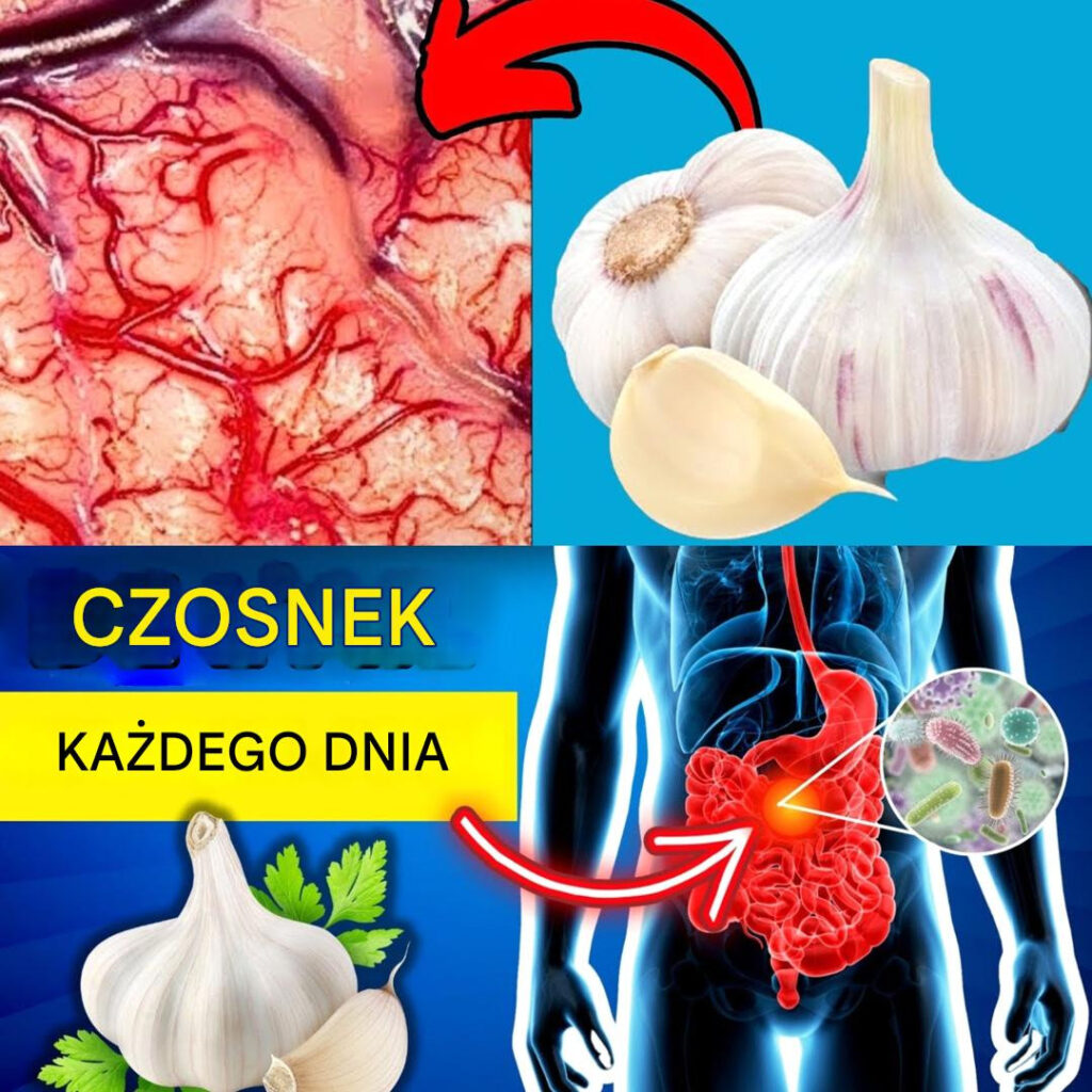 Zjedz_czosnek_przed_snem_i_zdziw_si__tym__co_si__stanie-2 Zjedz_czosnek_przed_snem_i_zdziw_si__tym__co_si__stanie-2