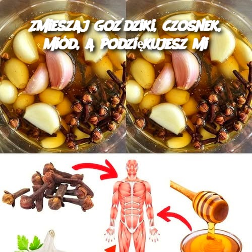 Zmieszaj_go_dziki__czosnek__mi_d__a_podzi_kujesz_mi Zmieszaj_go_dziki__czosnek__mi_d__a_podzi_kujesz_mi