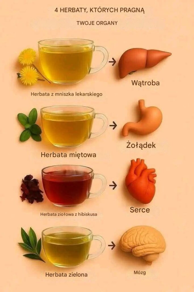 4_lecznicze_herbaty_zio_owe__za_kt_re_Twoje_organy_Ci_podzi_kuj__-1 4_lecznicze_herbaty_zio_owe__za_kt_re_Twoje_organy_Ci_podzi_kuj__-1