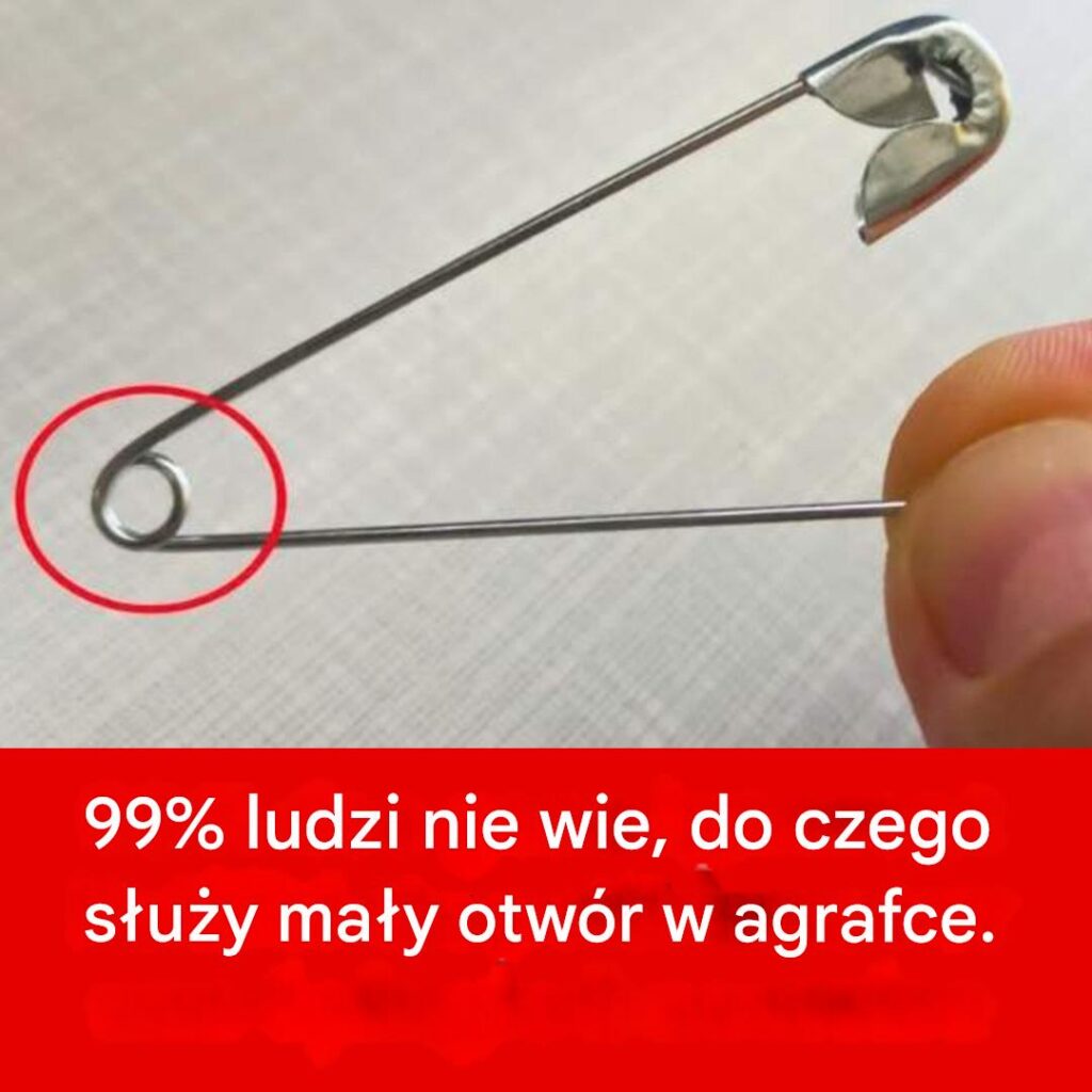 Ale_do_czego_w_a_ciwie_s_u_y_ten_otw_r_ Ale_do_czego_w_a_ciwie_s_u_y_ten_otw_r_