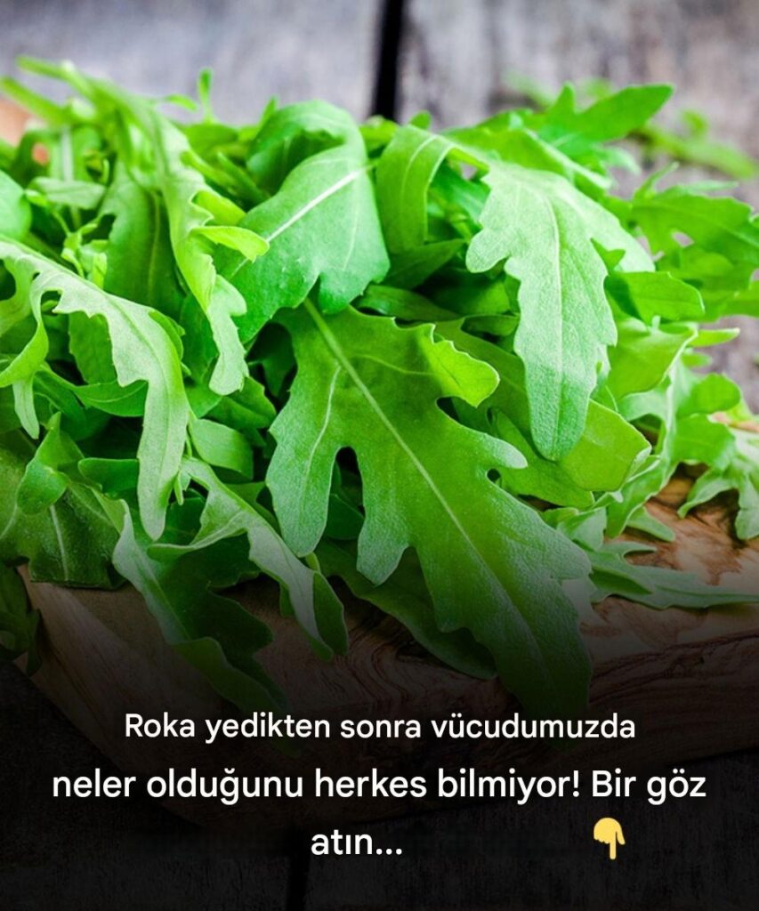Ceniony_za_sw_j_pieprzny_smak__rukola__znana_r_wnie__jako_rokietta_lub_rukola__jest_czym__wi_cej_ni__tylko_smacznym_sk_adnikiem_sa_atki_ Ceniony_za_sw_j_pieprzny_smak__rukola__znana_r_wnie__jako_rokietta_lub_rukola__jest_czym__wi_cej_ni__tylko_smacznym_sk_adnikiem_sa_atki_