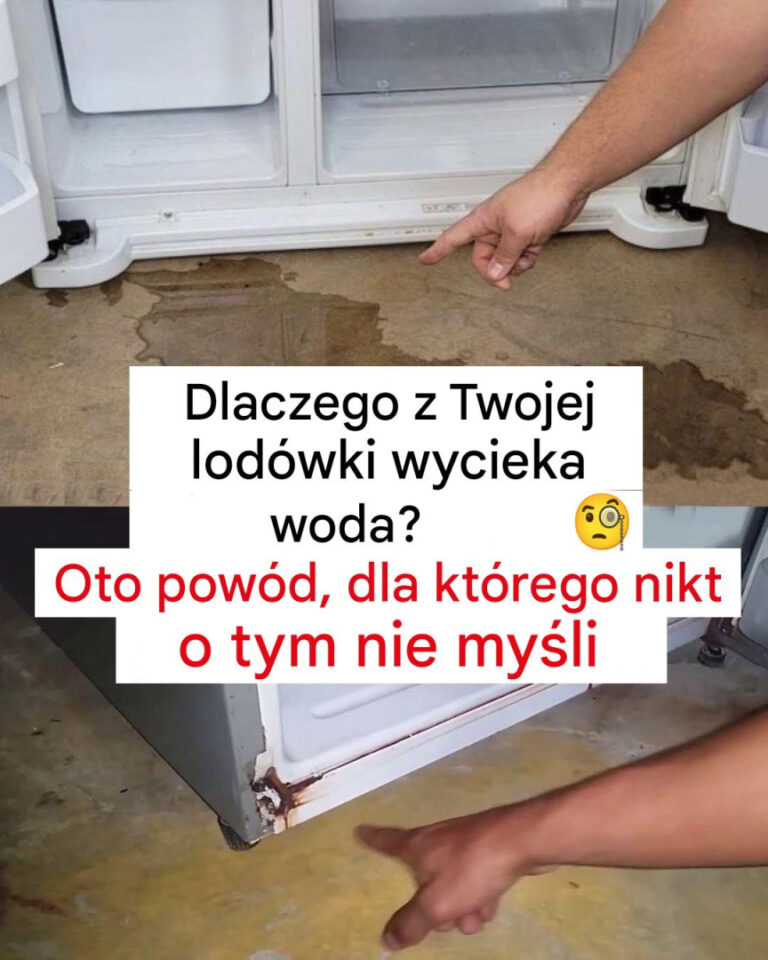 Dlaczego_z_lod_wki_leci_woda_