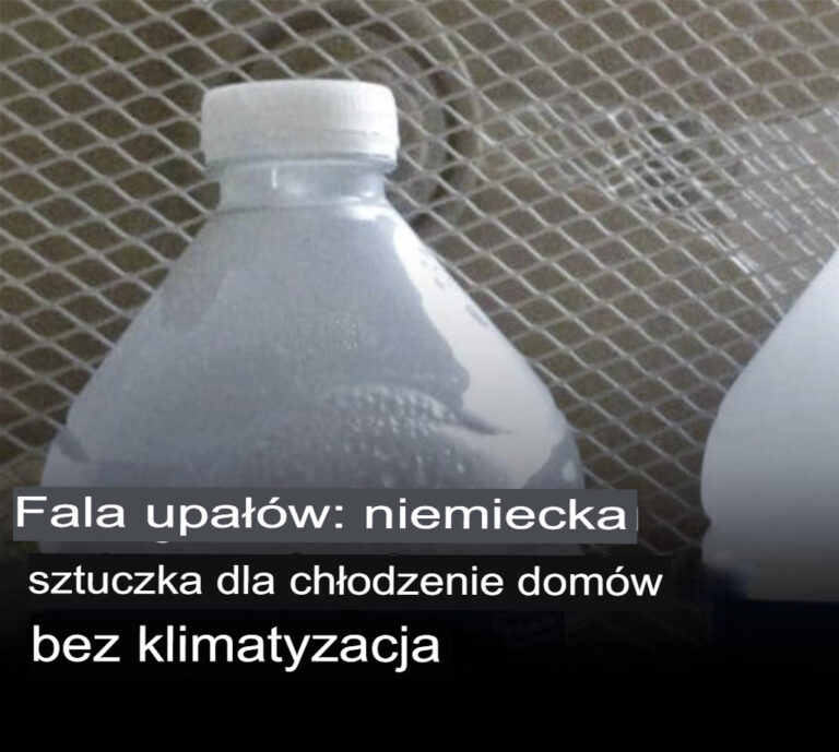 Fala_upa__w__niemiecki_trik_na_ch_odzenie_dom_w_bez_klimatyzacji