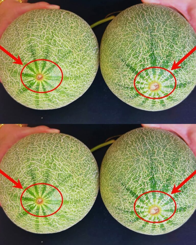 Jak_stwierdzi___czy_melon_jest_s_odki__stosuj_c_t____technik_